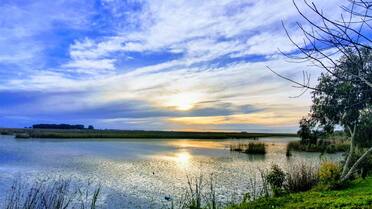 El pueblito cerca de CABA famoso por su Fiesta de la Harina y ser una ideal escapada de fin de semana