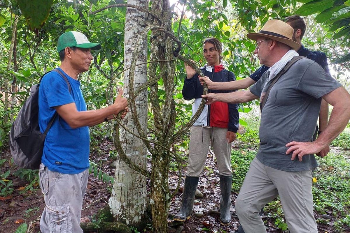 La propuesta combina trabajo en contacto con la naturaleza, alojamiento, actividades de agroturismo y la posibilidad de conocer de cerca una de las regiones más emblemáticas de Perú.