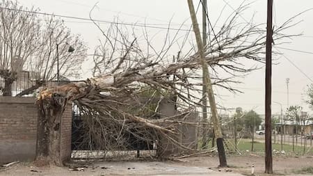 Temporal en Mendoza.