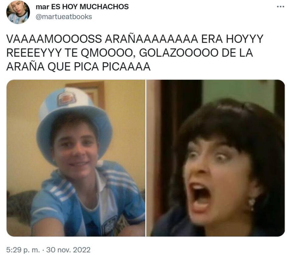 Memes. Foto: Twitter.