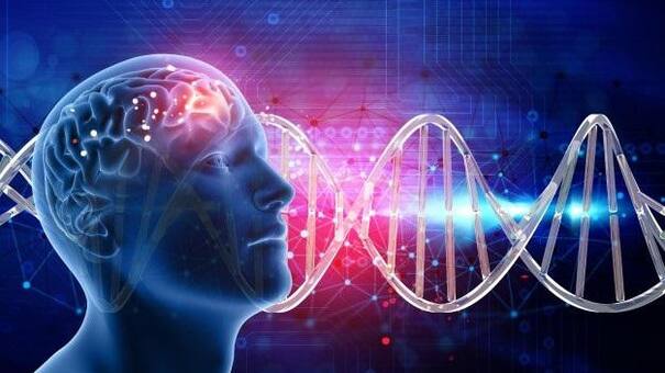 Salud: especialistas destacan los beneficios de la terapia cetogénica para la Deficiencia de Glut1