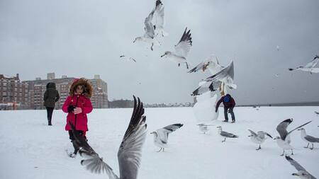 Nueva York bajo nieve, Reuters.