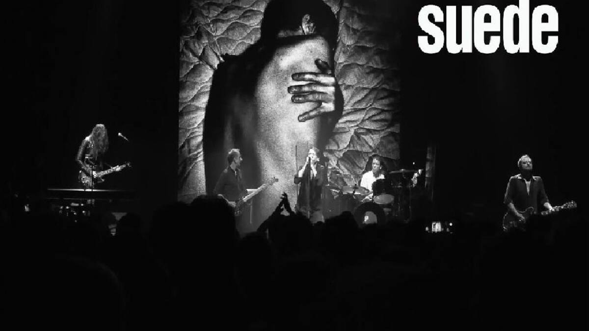 Suede, foto prensa