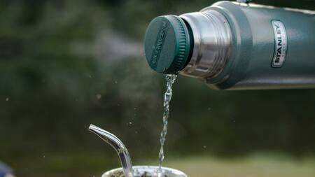 ¿Qué hierba agregarle al mate para mejorar la digestión?. Foto Unsplash.