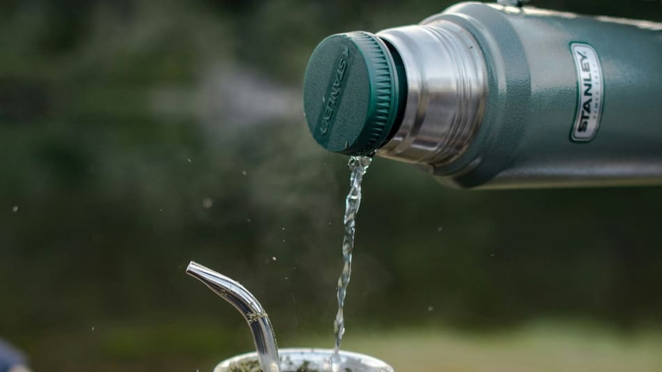 ¿Qué hierba agregarle al mate para mejorar la digestión?. Foto Unsplash.