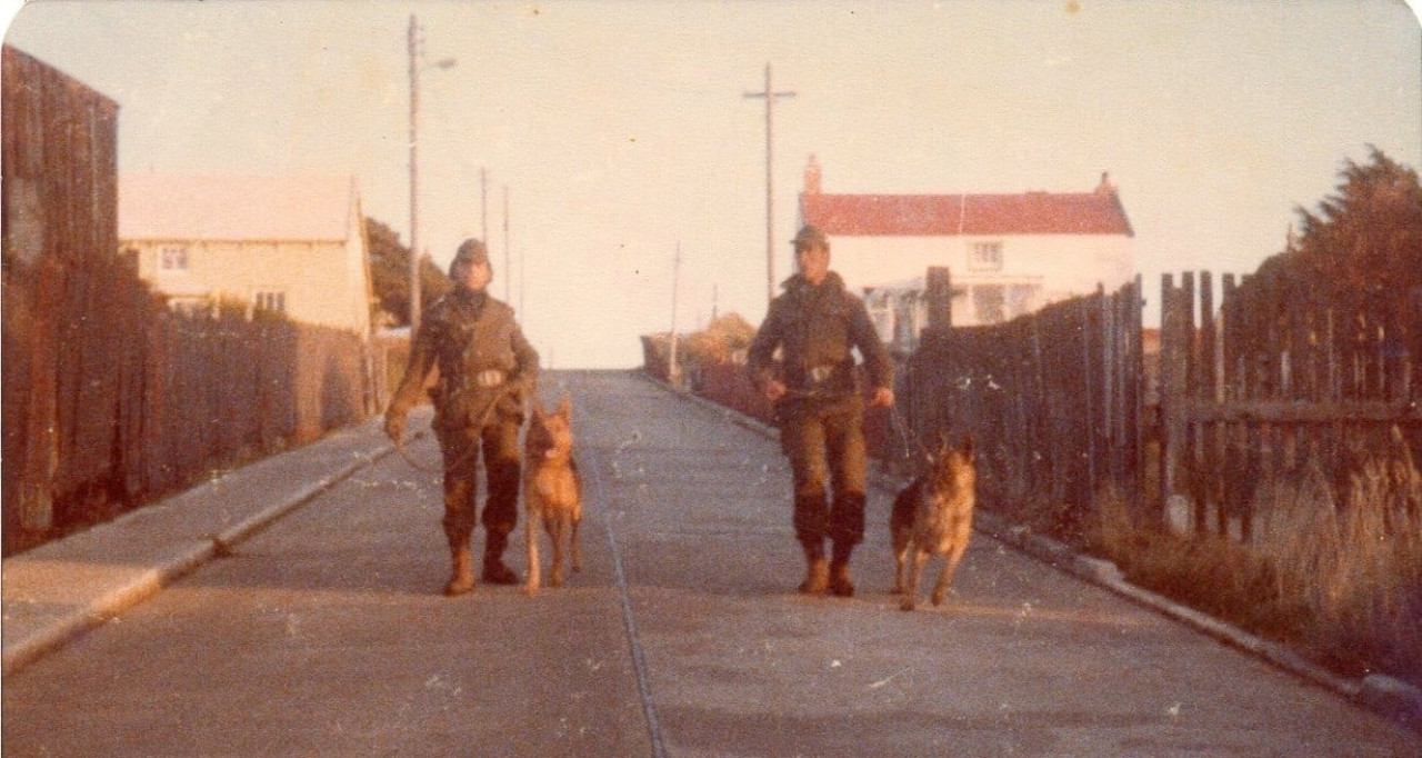 En la Guerra de Malvinas también hubieron héroes de cuatro patas