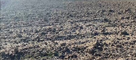 Sequía en Marruecos. Foto: EFE.