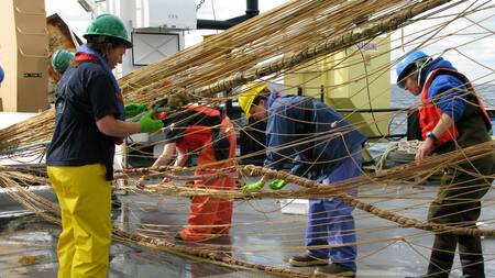Pesca de arrastre. Foto: Unsplash