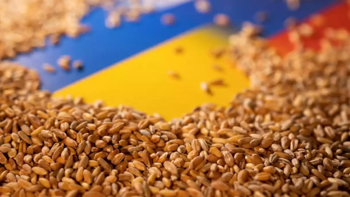 Acuerdo de cereales entre Ucrania y Rusia