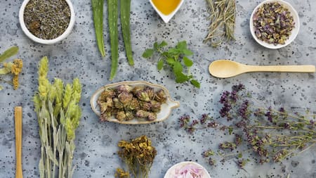 La hierba medicinal que sirve para combatir el acné. Foto Freepik