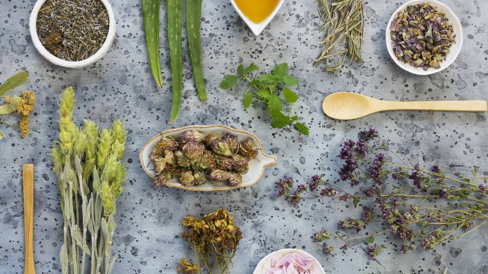 La hierba medicinal que sirve para combatir el acné. Foto Freepik
