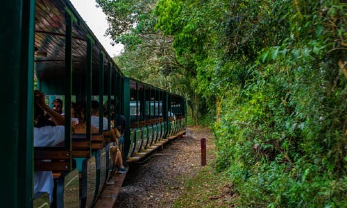 Tren Ecológico del Parque Nacional Iguazú. Foto: parquenacionaliguazu.com.ar.