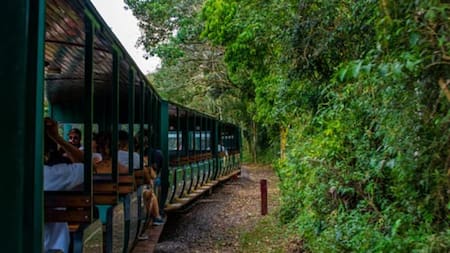 Tren Ecológico del Parque Nacional Iguazú. Foto: parquenacionaliguazu.com.ar.
