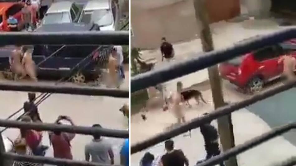 Vecinos desnudaron a tres ladrones y los obligaron a correr por Villa Celina
