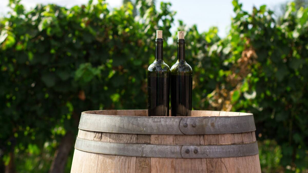 Vinos. Foto: Unsplash.