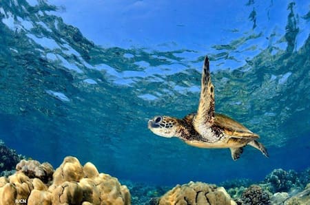 Día Mundial de los Océanos - Efemérides