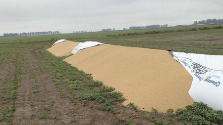 Rotura de silobolsas, campo, economía argentina, Agencia NA