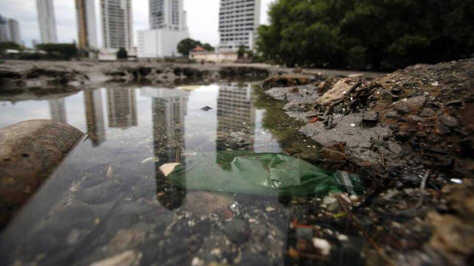 Día Internacional de la Tierra: los 5 problemas que enfrenta el medio ambiente