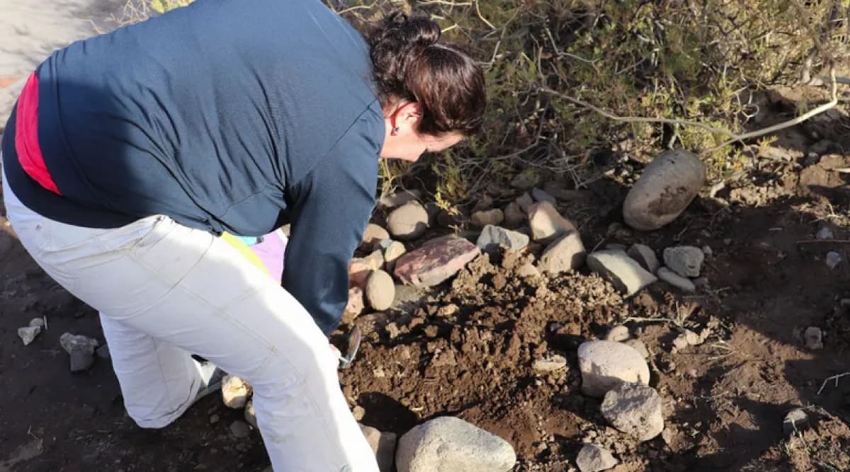 Restos arqueológicos en Neuquén. Foto: lmneuquen