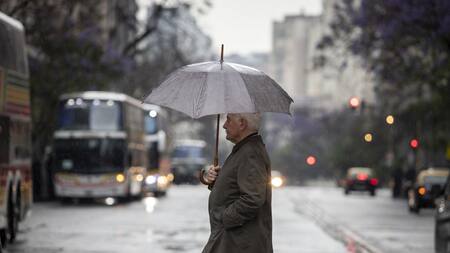 Lluvias; tormentas. Foto: NA (Damián Dopacio)