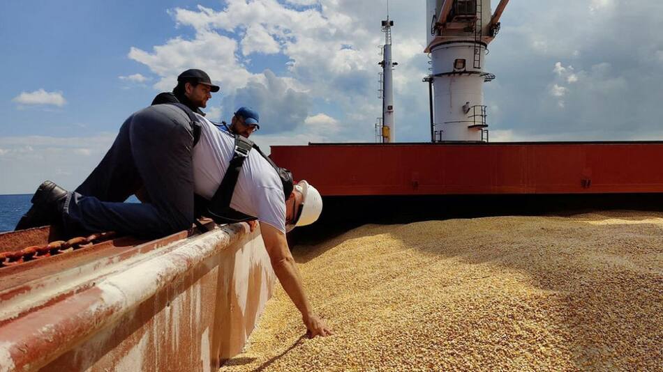 Acuerdo de cereales entre Ucrania y Rusia. Foto: Reuters