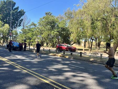 Locura al volante, Bosques de Palermo