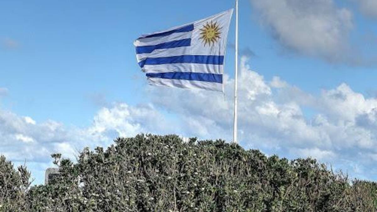 Uruguay, niño con bandera urugaya
