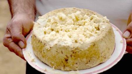 Casu Marzu, el queso de Italia que tiene larvas vivas.