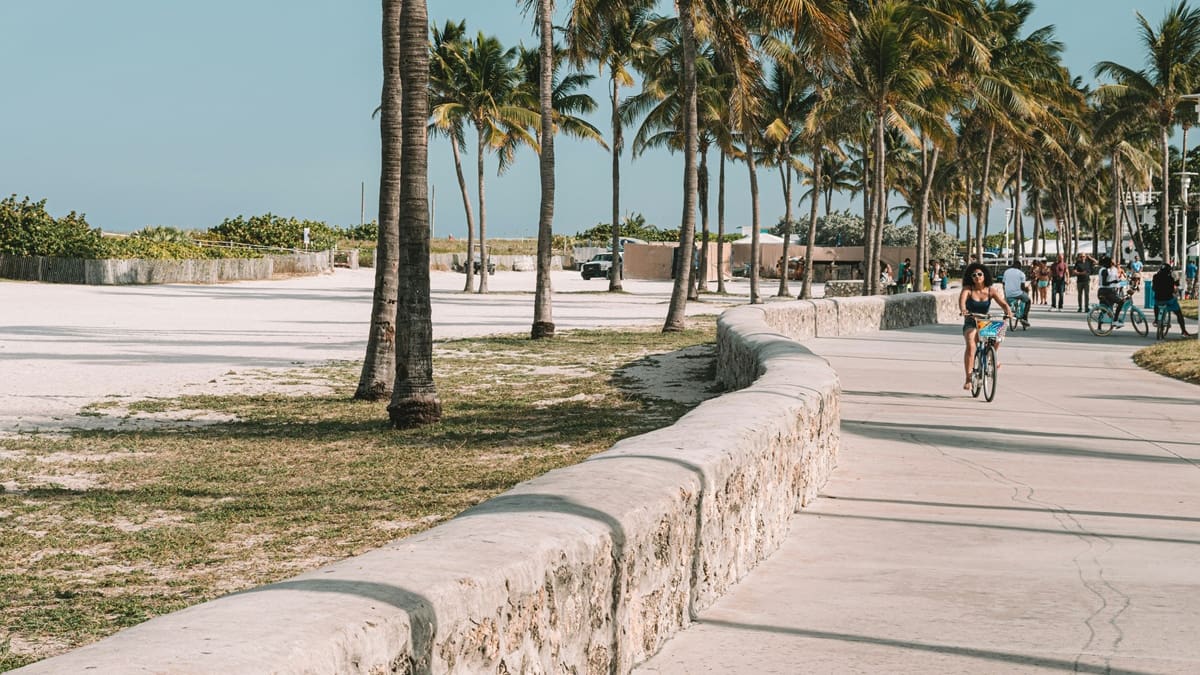 Buscan voluntarios para vivir gratis en Miami.