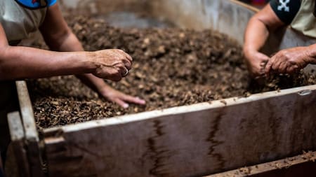 Compostera de madera Foto: Unsplash