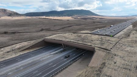 Greenland Wildlife Overpass, Colorado, Estados Unidos.