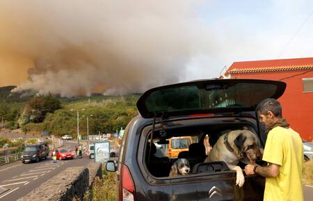 Incendios en Tenerife. Foto: Reuters.