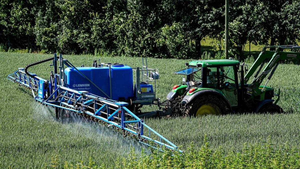 Herbicida, glifosato. Foto: EFE.
