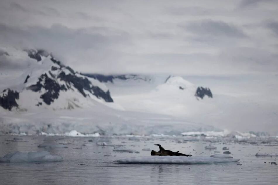 Reducción histórica del hielo marino de la Antártida