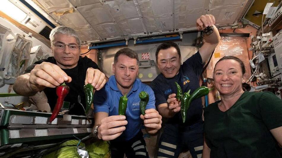 Menú para astronautas, NASA. Foto: Reuters.
