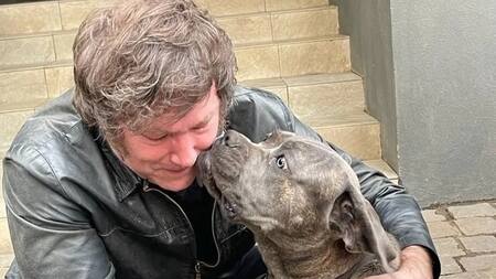 Javier Milei, amante de los perros. Foto: Instagram @javiermilei.