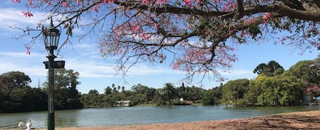 Bosques de Palermo. Foto Gobierno de la Ciudad