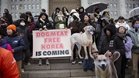 Activistas en Seúl durante la aprobación de la ley que prohíbe el comercio de carne de perro en Corea del Sur. Foto: EFE.