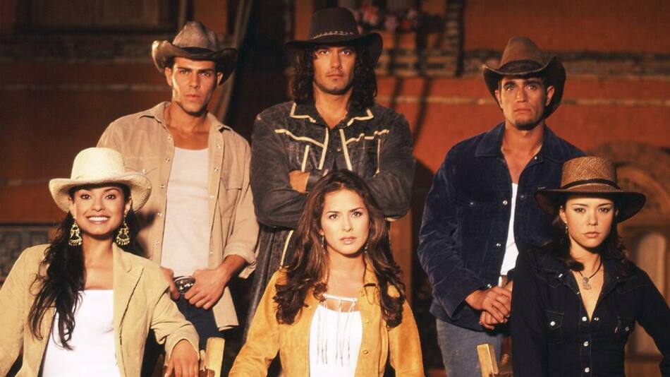 Pasión de gavilanes, novela