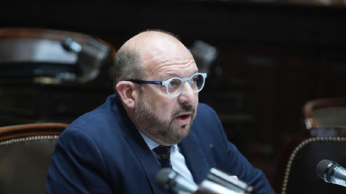El diputado nacional por San Luis, Carlos D'Alessandro. Foto: Instagram @carlos.gonzalezdalessandro