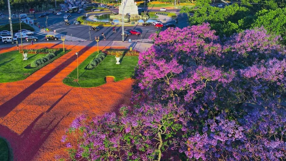 Bosques de Palermo. Foto Instagram @wowdeivid