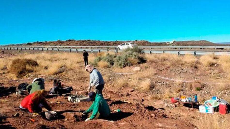Hallazgo de restos fósiles de dinosaurio herbívoro en Neuquen