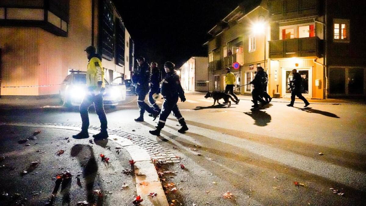 Noruega: un hombre armado con un arco y flechas mató e hirió a varias personas, EFE