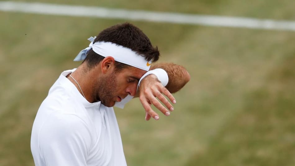 Del Potro - Wimbledon (Reuters)