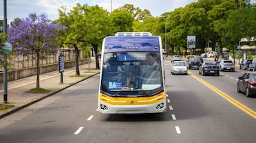 Abren una convocatoria para probar el Trambus: cuándo es y cómo inscribirse al recorrido del nuevo transporte de Buenos Aires