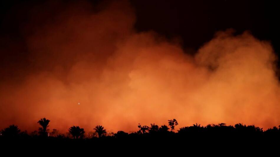 Incendio Amazonia, REUTERS