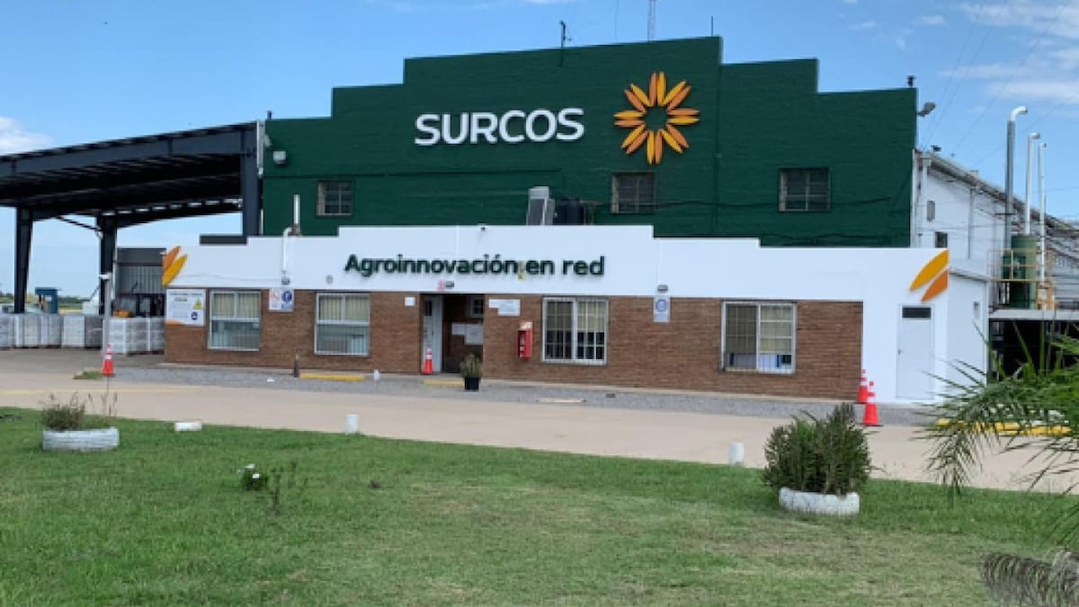 SURCOS S.A.: investigan presunto concurso fraudulento