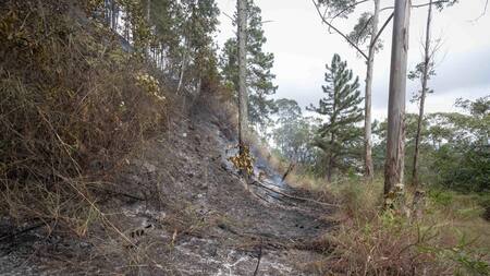 Accidente aéreo en Venezuela que dejó tres muertos. Foto: EFE.