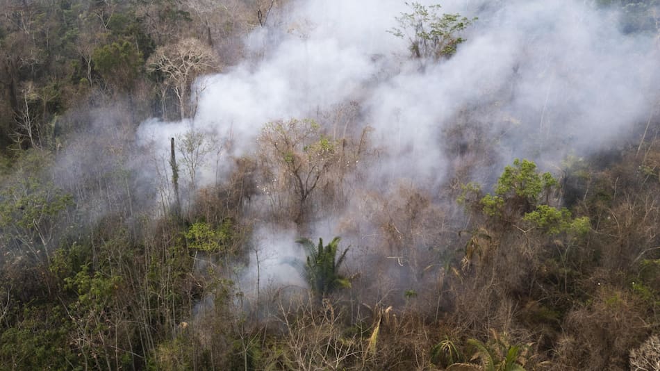 Incendio forestal en el Parque Estatal Guajará Mirim, uno de los focos activos de Brasil. Foto: EFE.