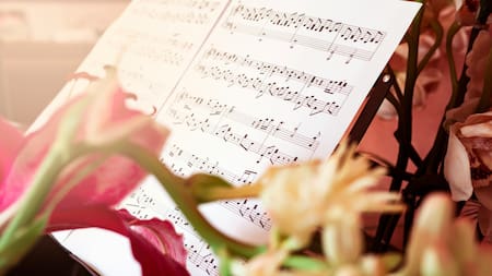 Música clásica. Foto: Unsplash.